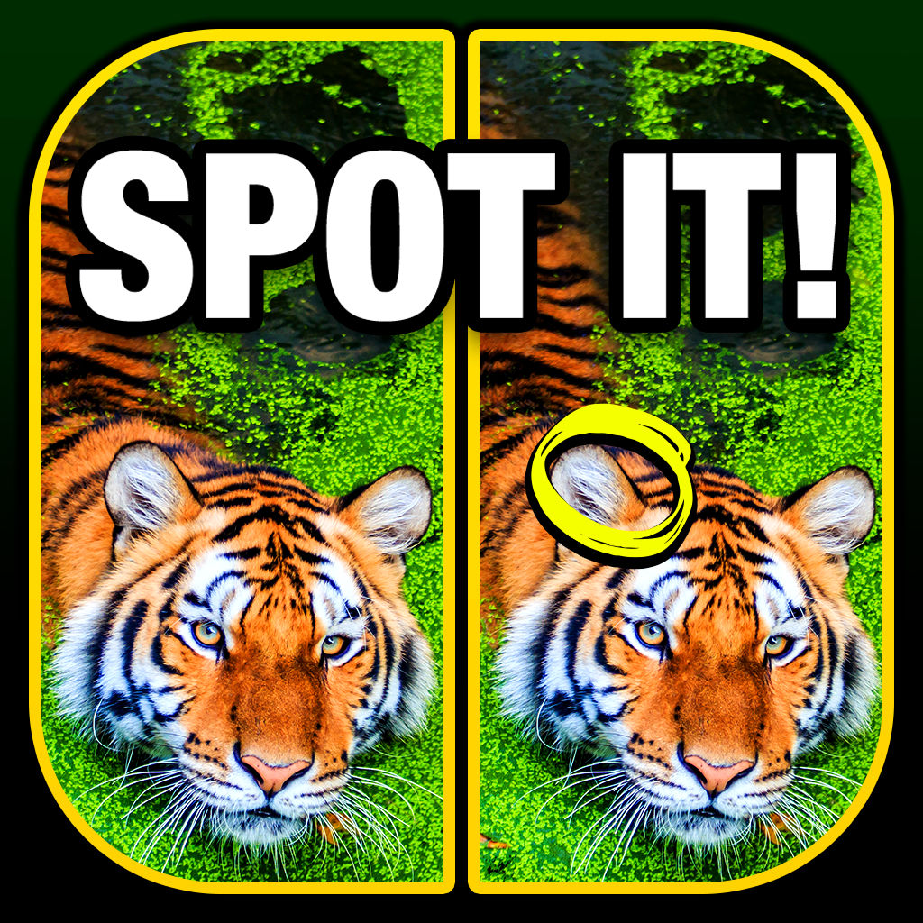 what"s the difference? spot it