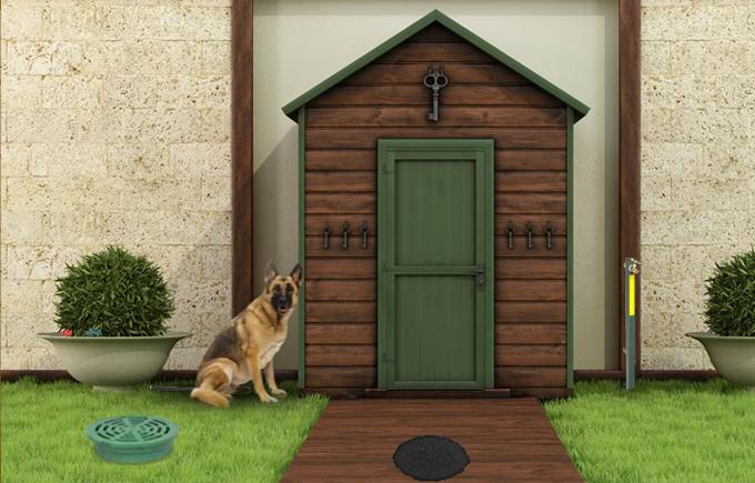 Finding the Perfect House to Rent with Your Pet