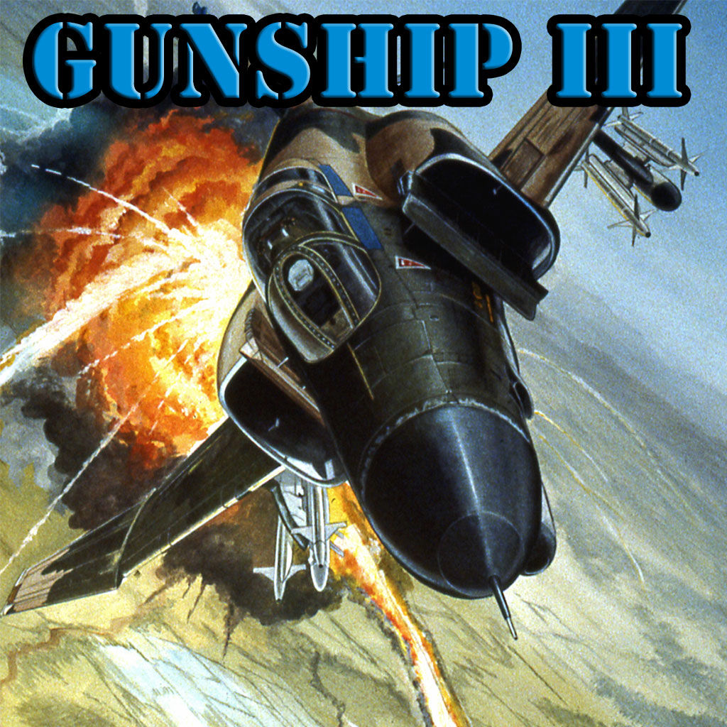 gunship iii - combat flight simulator