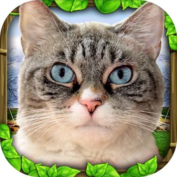 Stray Cat Simulator Stray Cat Simulator