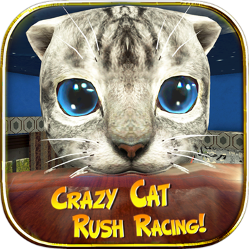 Crazy Cat Rush Racing Run Kitty Craft Crazy Cat Rush Racing Run Kitty Craft
