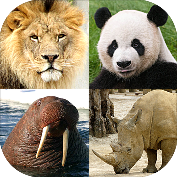 Animals Quiz - Learn All Mammals and Birds!