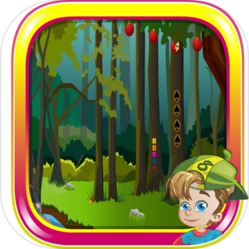 Majestic Forest Escape Majestic Forest Escape