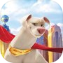 DC Superpetsicon