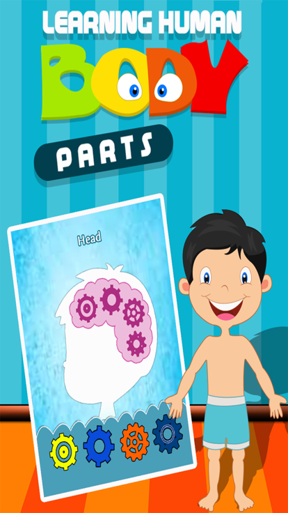 Learning Human Body Parts - Baby Learning Body Parts游戏截图