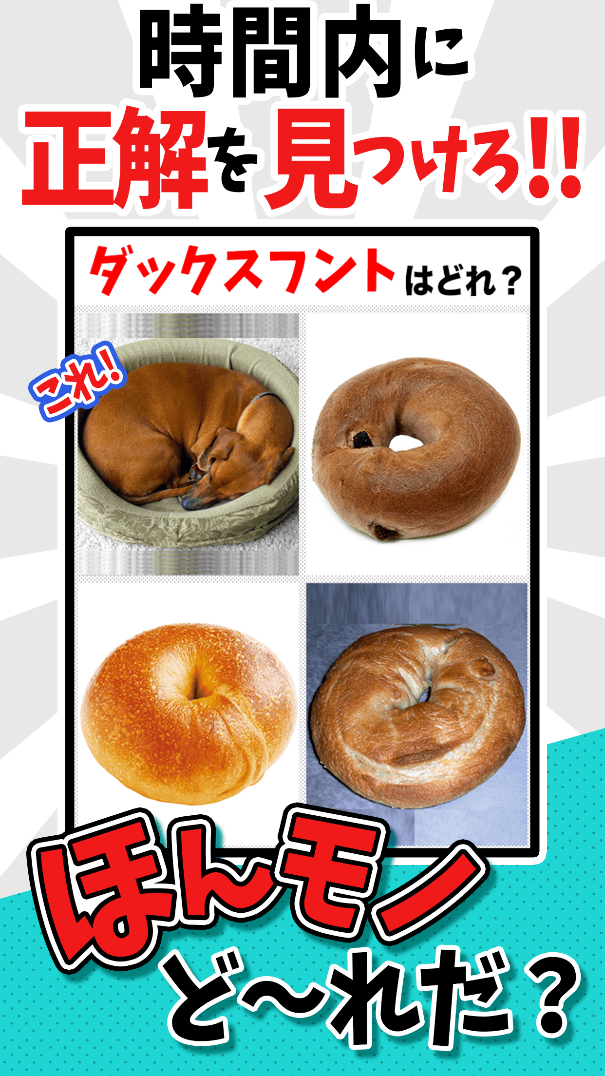 ㊙本物ど〜れだ?【完全に一致】脳にひらめき!そっくりクイズ