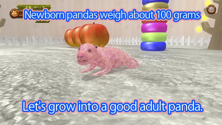 Newborn panda游戏截图