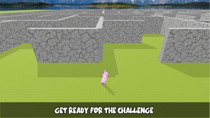 Pony Horse Maze Run游戏截图