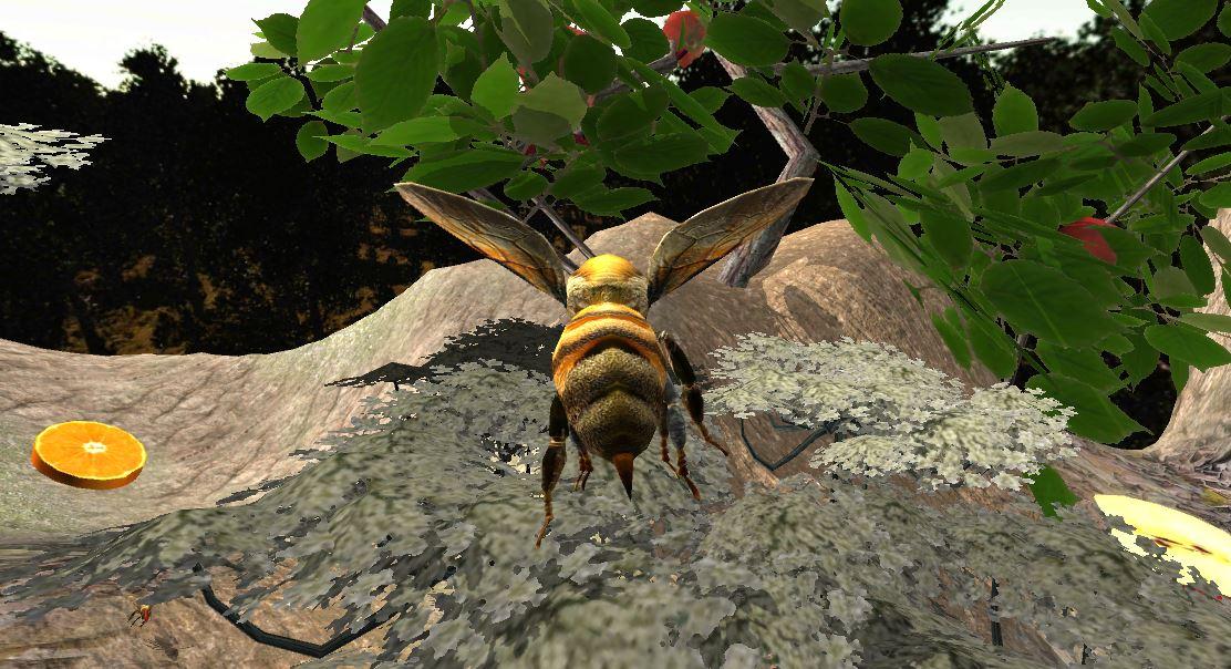 colony survival game honey colony survival game honey