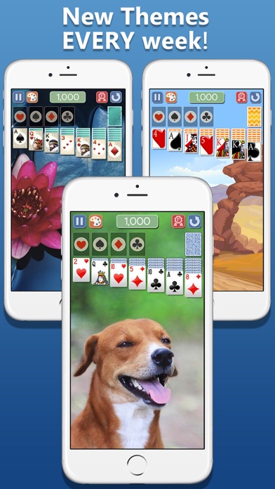 Solitaire Deluxe® 2游戏截图