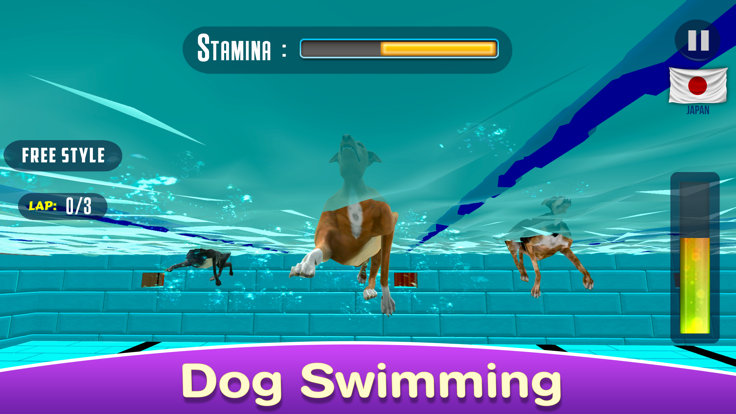 Dog Swimming Race游戏截图