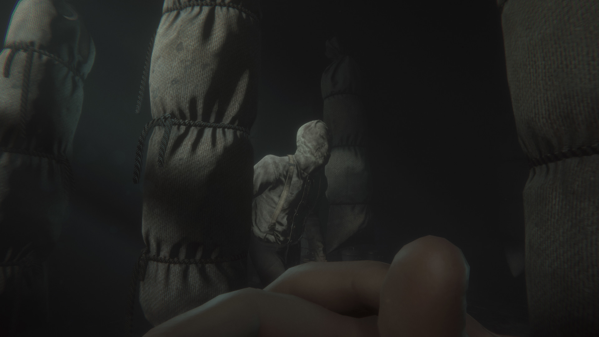 Maid of Sker游戏截图