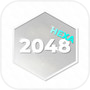 2048 HEXAicon