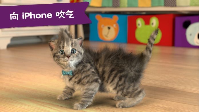 Little Kitten 小猫 - 我最喜欢的猫游戏截图