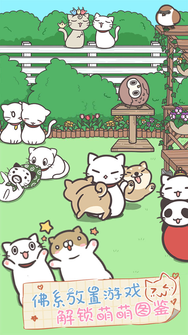 猫咪饲养日常游戏截图
