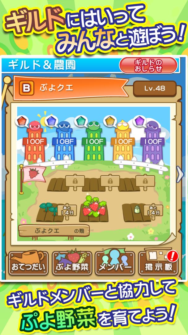 Screenshot of ぷよぷよ!!クエスト -簡単操作で大連鎖。爽快 パズル！ぷよっと楽しい パズルゲーム