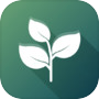 Florariumicon
