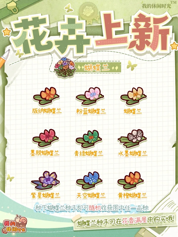 全新土培&水培植物