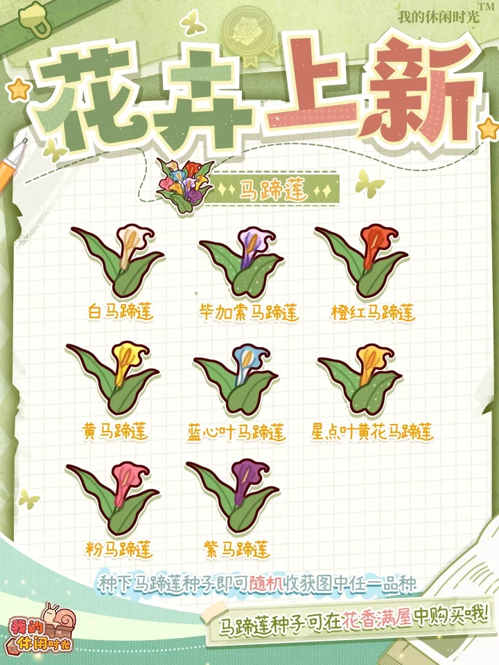 全新土培&水培植物