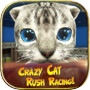 Crazy Cat Rush Racing Run Kitty Crafticon