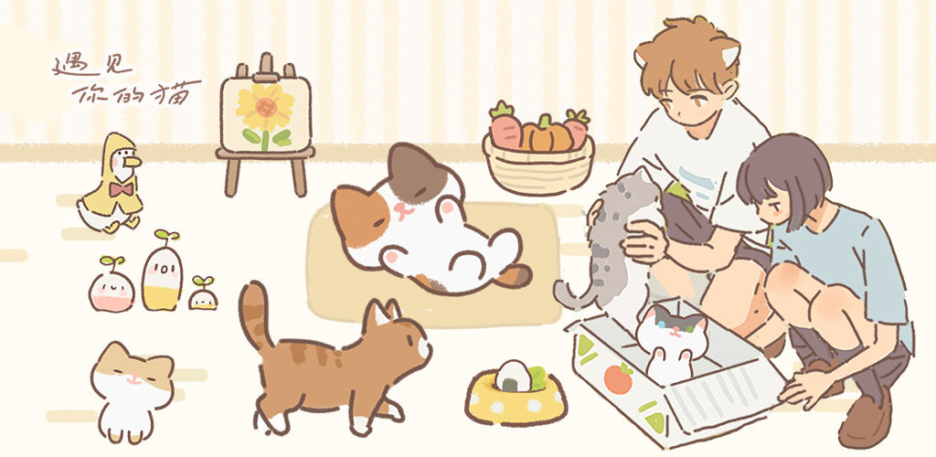 遇见你的猫