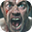 Dead Reset