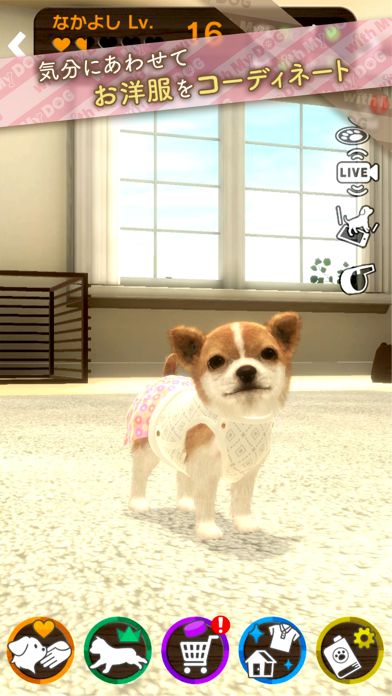 with My DOG - 犬とくらそう -游戏截图