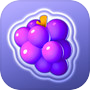 Fruit Match!icon