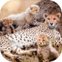 Wild Attack Cheetah Simulatoricon