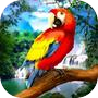 野生鹦鹉生存 - 丛林鸟模拟器！icon