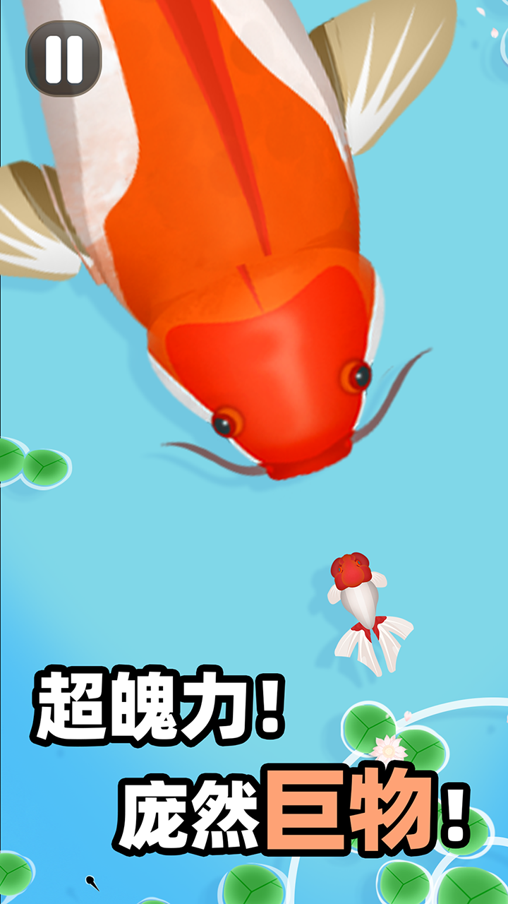 合成大锦鲤游戏截图