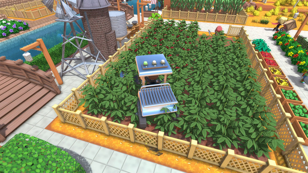 金垦小镇游戏截图