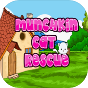 Munchkin Cat Rescue