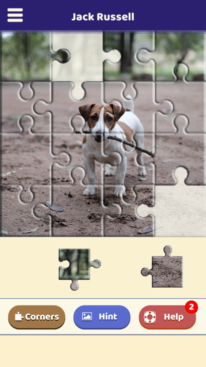 Jack Russell Puzzle游戏截图