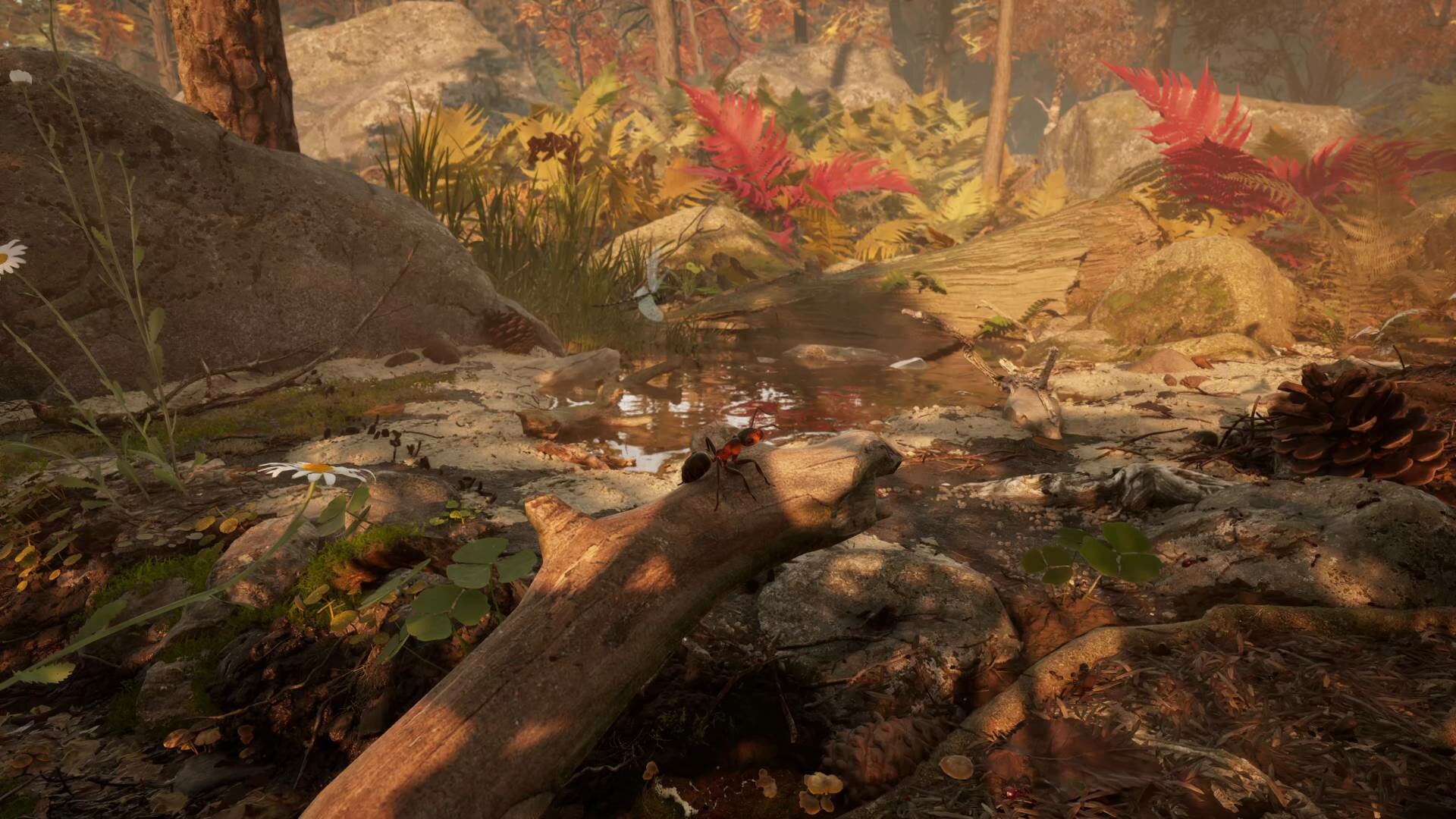 蚂蚁帝国（Empire of the Ants）游戏截图