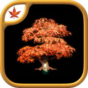 Fire Maple Games Collectionicon