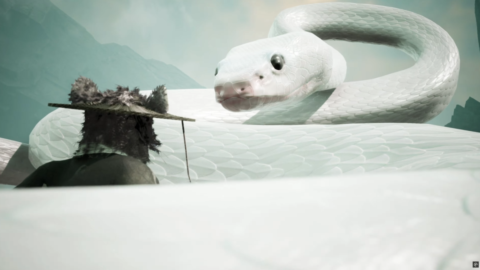 十二影游戏截图