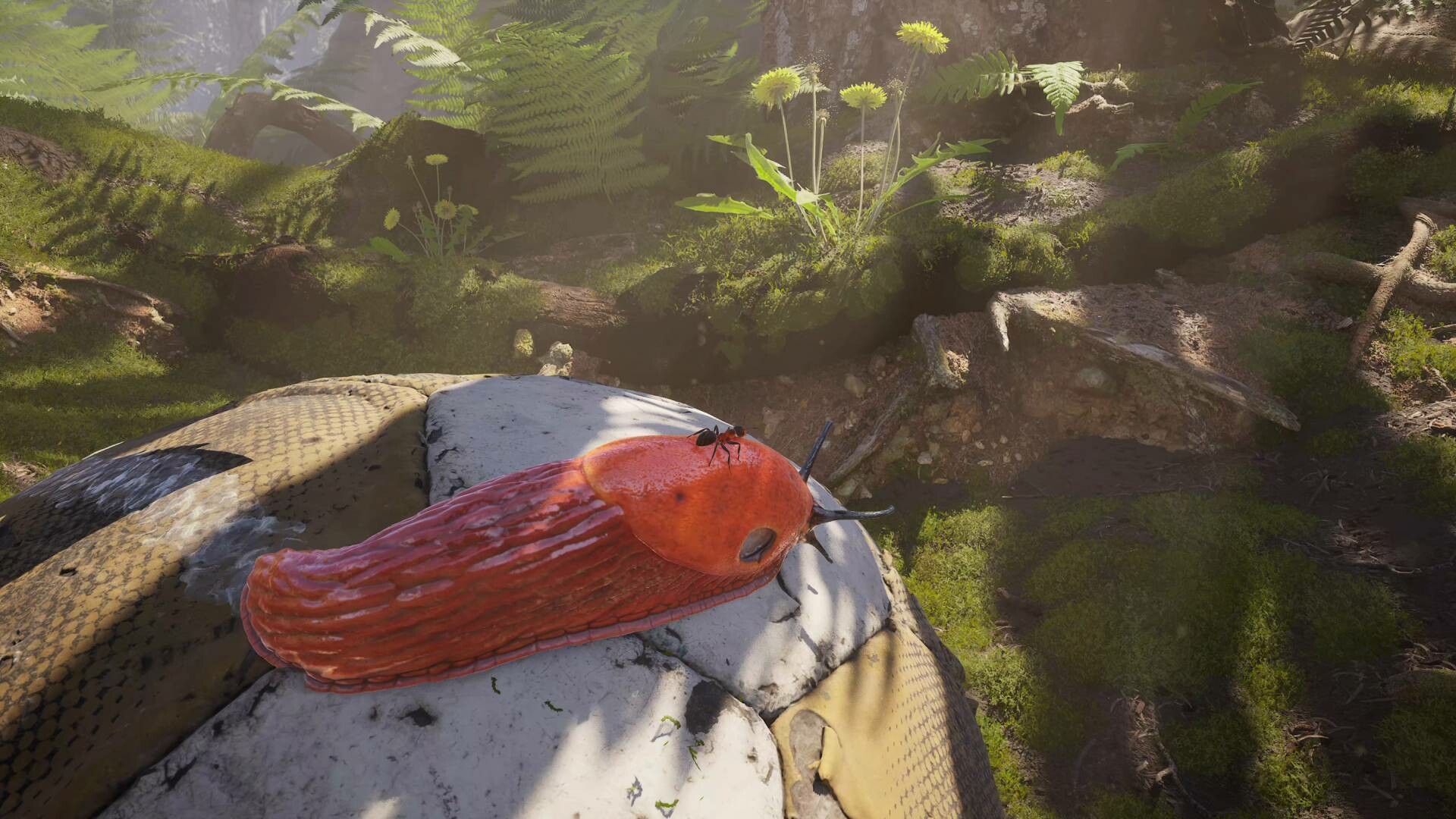 蚂蚁帝国（Empire of the Ants）游戏截图