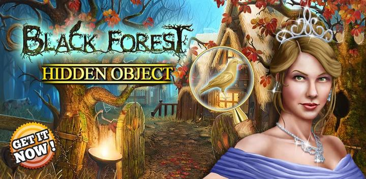 Hidden Object Black Forest游戏截图