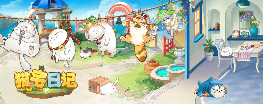 猫宅日记