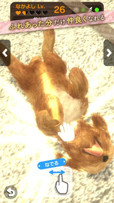 with My DOG - 犬とくらそう -游戏截图