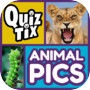 QuizTix: Animal Pics Triviaicon