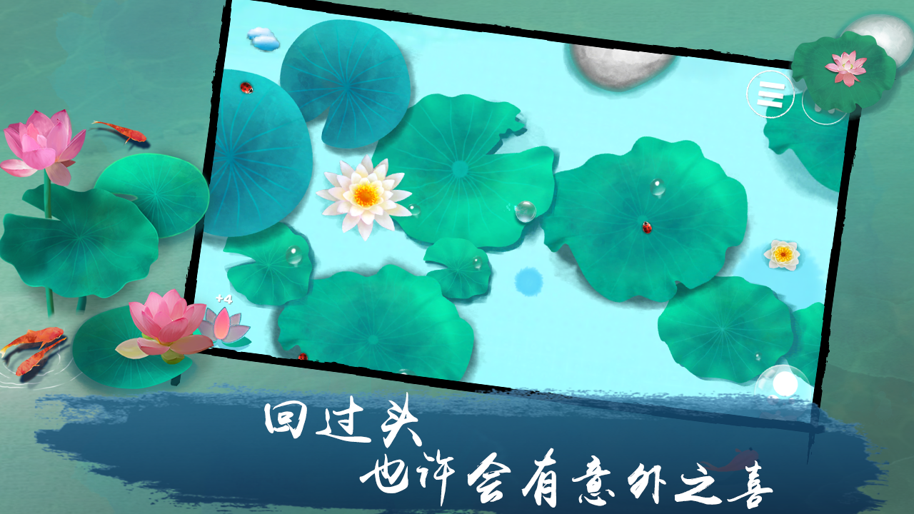 荷露截图