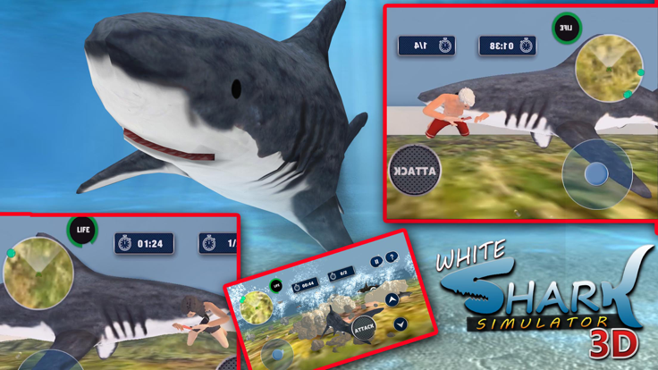 White Shark Simulator 3D游戏截图