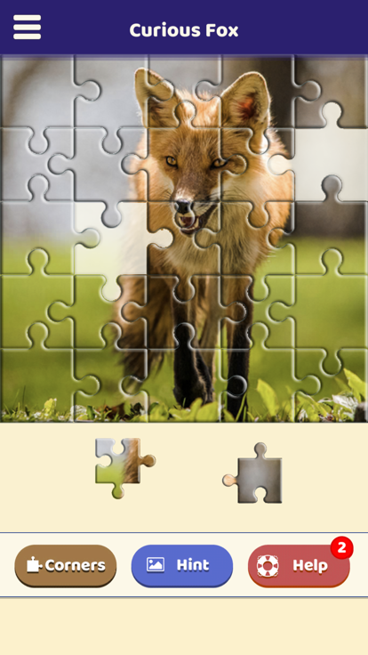 Curious Fox Puzzle游戏截图
