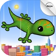 Acrobat Gecko New York