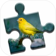 Bird Watching Puzzle