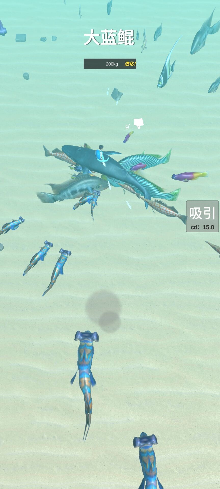 骑鲲与捕鱼游戏截图