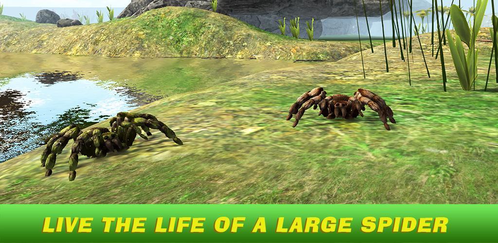Tarantula Simulator 3D游戏截图