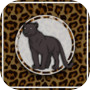 Black Leopard Rescueicon